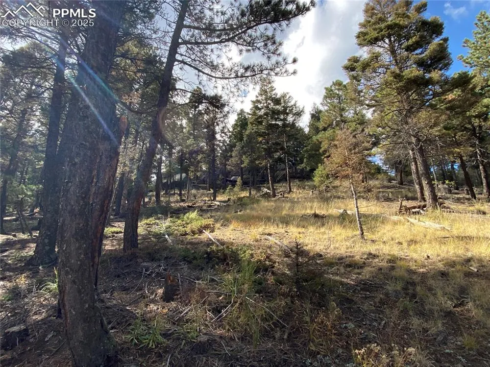 342 Ponderosa View Manitou Springs, CO 80829