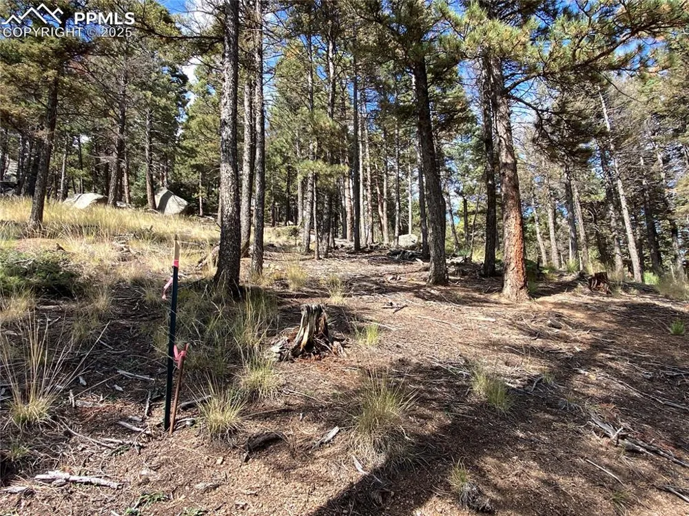 342 Ponderosa View Manitou Springs, CO 80829