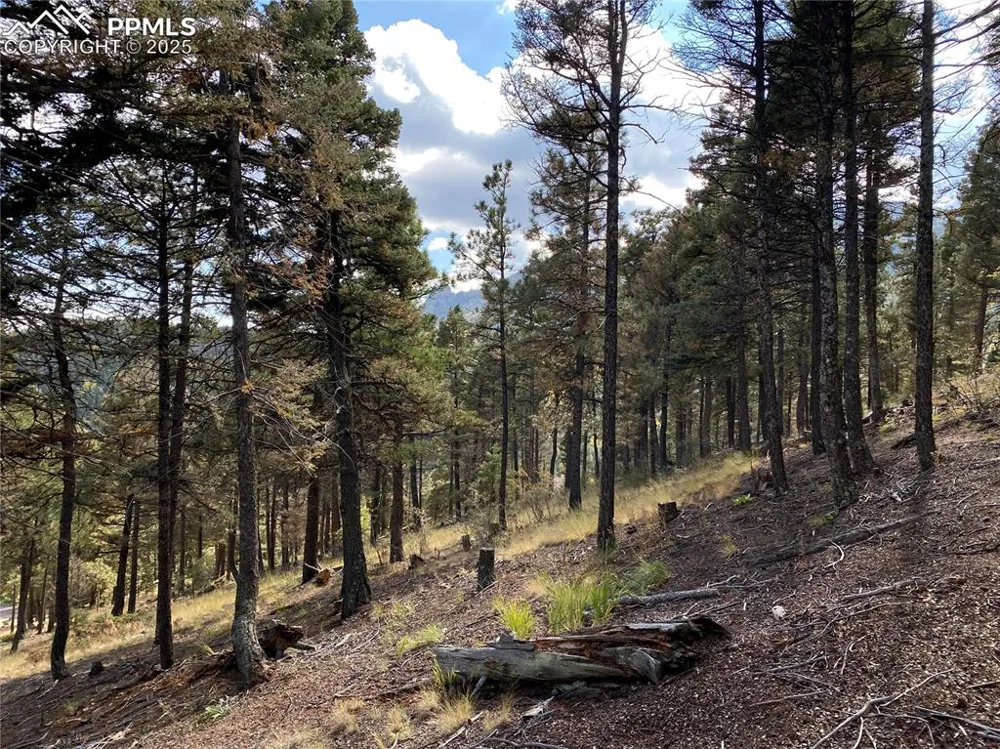 342 Ponderosa View Manitou Springs, CO 80829