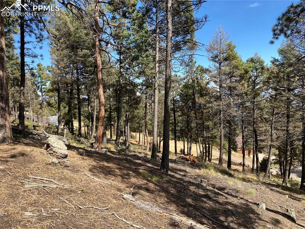 342 Ponderosa View Manitou Springs, CO 80829