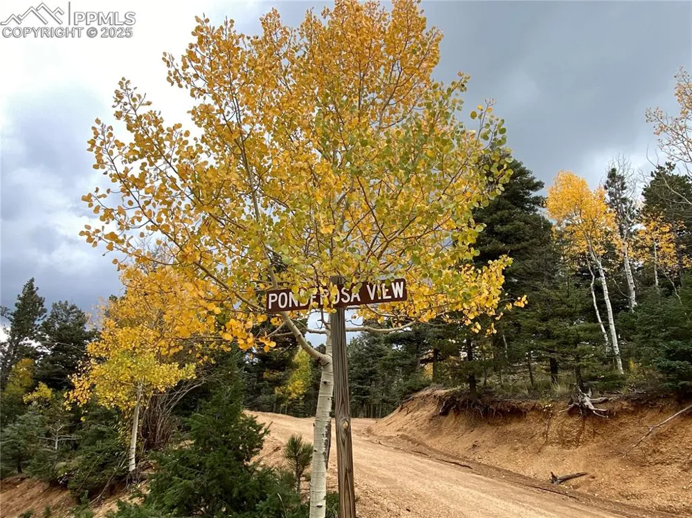 342 Ponderosa View Manitou Springs, CO 80829