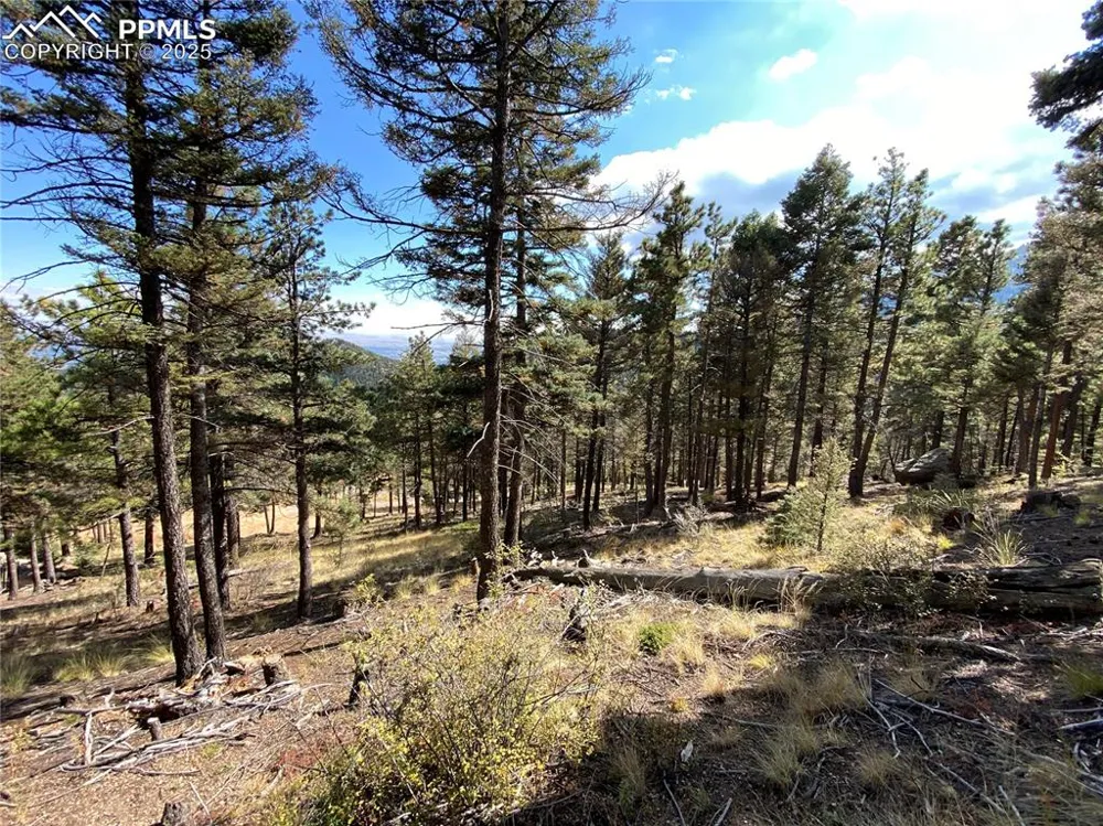 342 Ponderosa View Manitou Springs, CO 80829