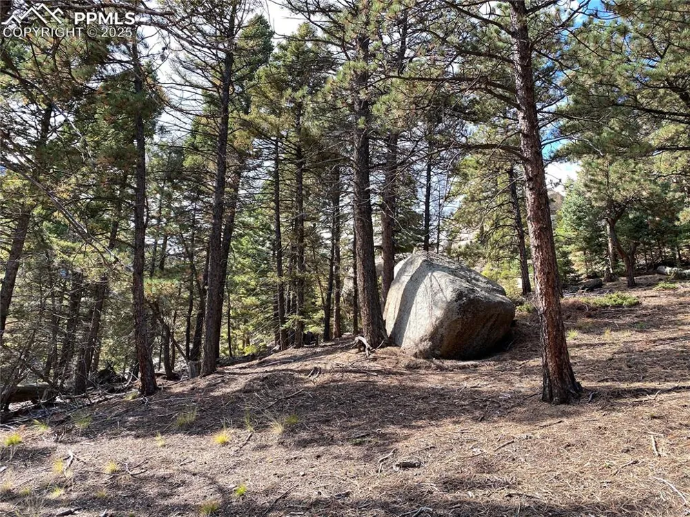 342 Ponderosa View Manitou Springs, CO 80829