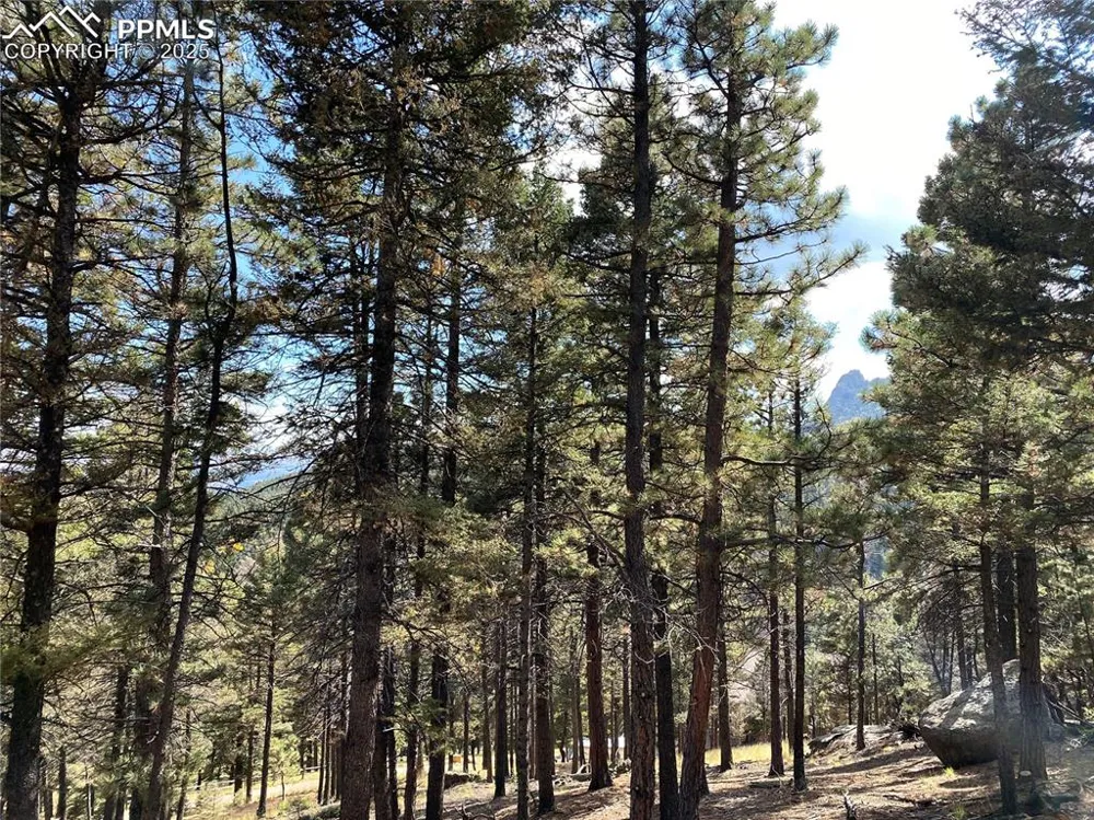 342 Ponderosa View Manitou Springs, CO 80829