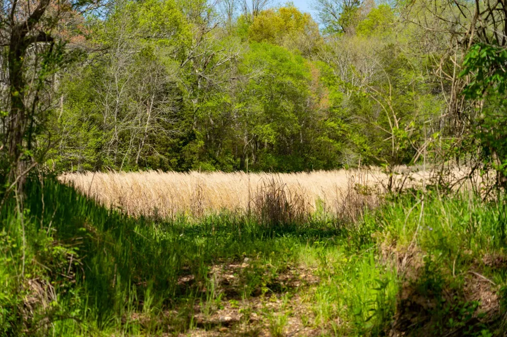 0 Pee Dee Branch Rd Cottontown, TN 37048