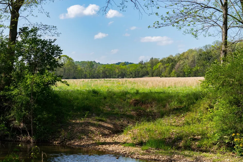 0 Pee Dee Branch Rd Cottontown, TN 37048