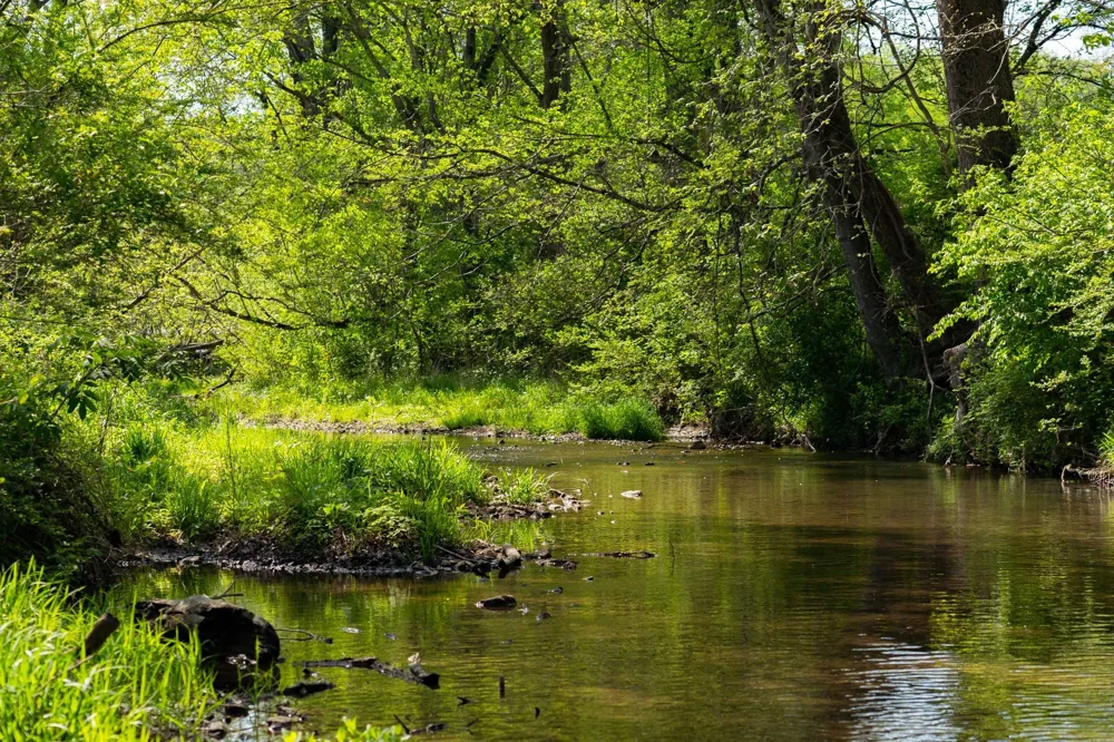 0 Pee Dee Branch Rd Cottontown, TN 37048