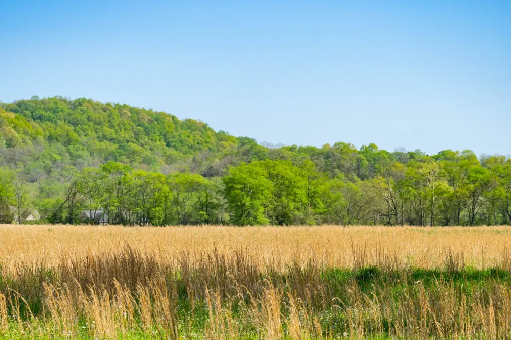 0 Pee Dee Branch Rd Cottontown, TN 37048