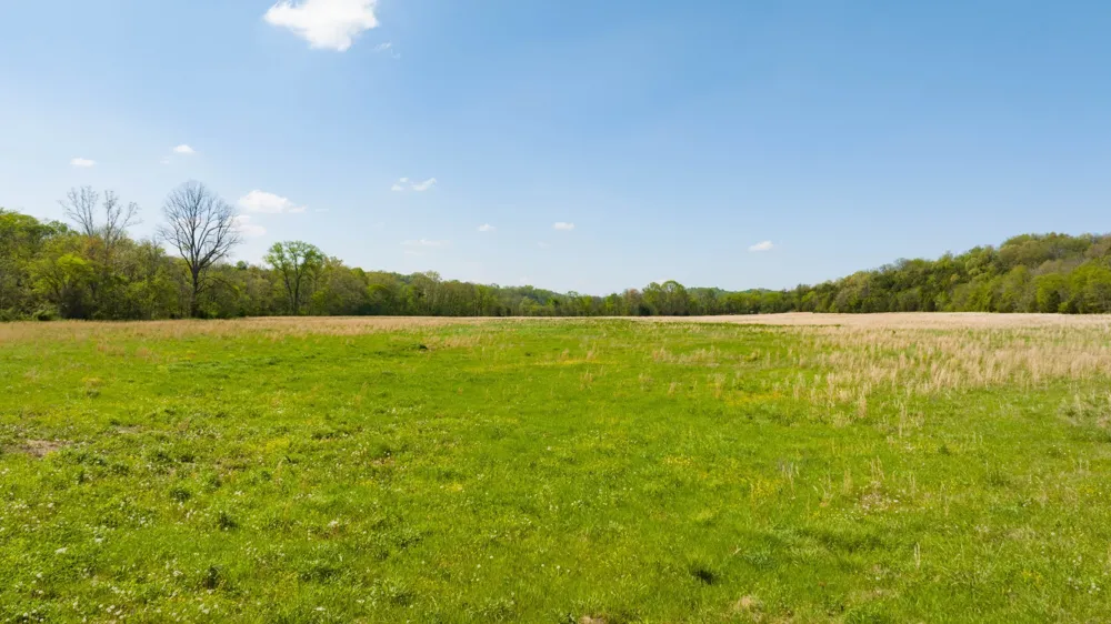 0 Pee Dee Branch Rd Cottontown, TN 37048