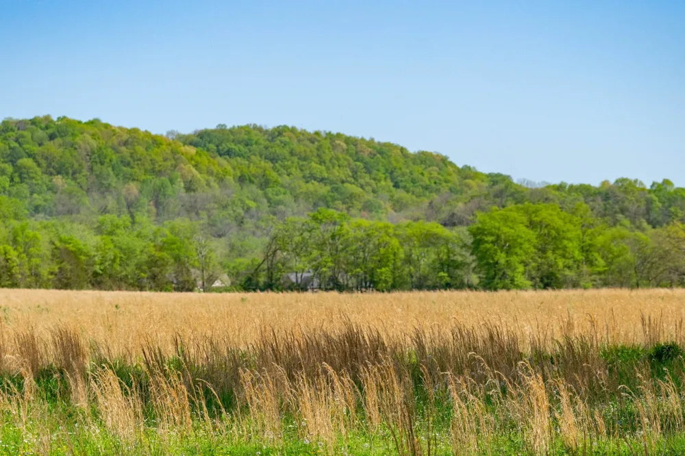 0 Pee Dee Branch Rd Cottontown, TN 37048