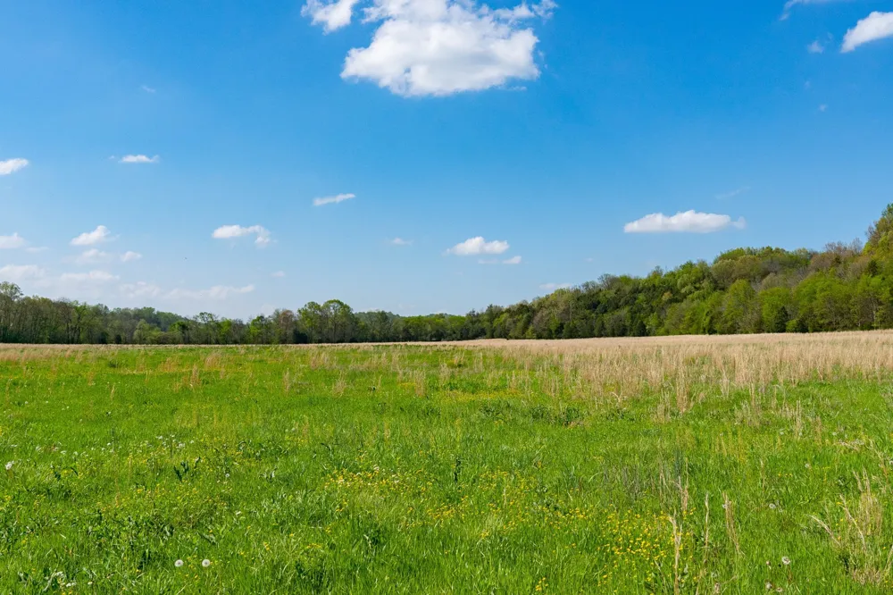 0 Pee Dee Branch Rd Cottontown, TN 37048
