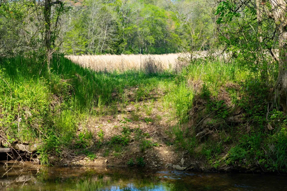 0 Pee Dee Branch Rd Cottontown, TN 37048
