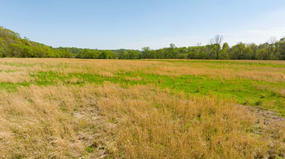 0 Pee Dee Branch Rd Cottontown, TN 37048