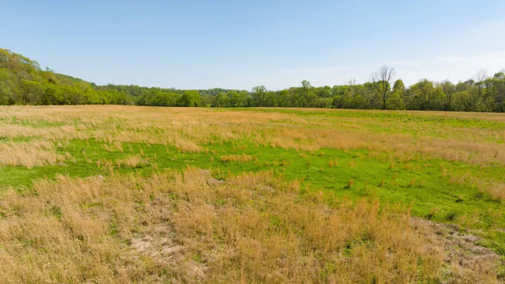 0 Pee Dee Branch Rd Cottontown, TN 37048