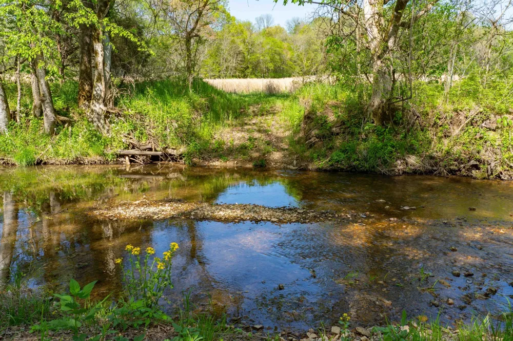 0 Pee Dee Branch Rd Cottontown, TN 37048