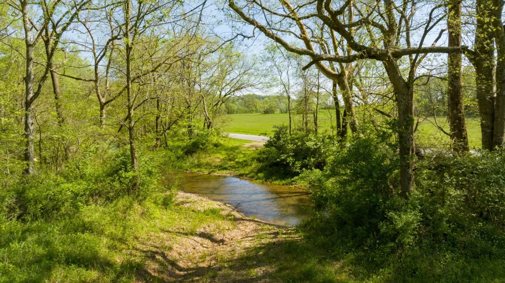 0 Pee Dee Branch Rd Cottontown, TN 37048