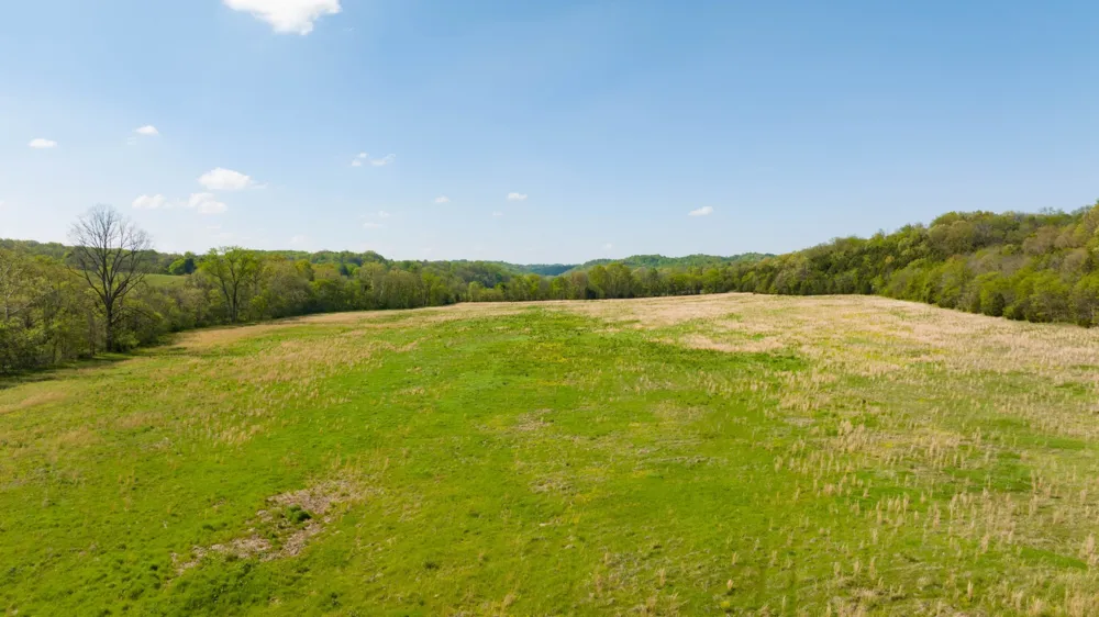 0 Pee Dee Branch Rd Cottontown, TN 37048