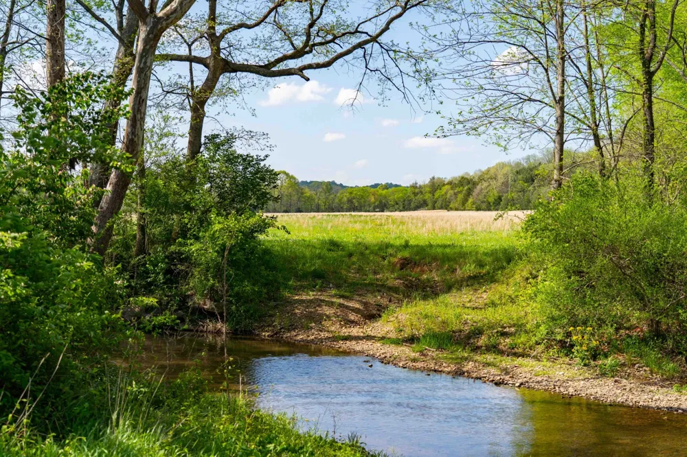 0 Pee Dee Branch Rd Cottontown, TN 37048
