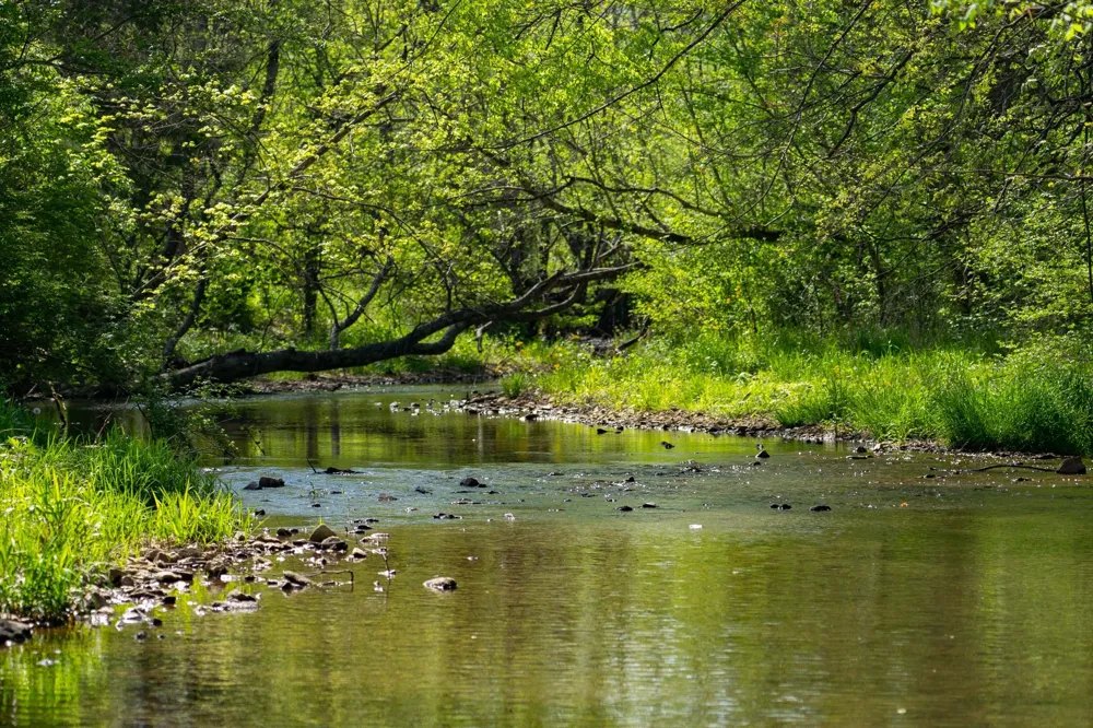 0 Pee Dee Branch Rd Cottontown, TN 37048