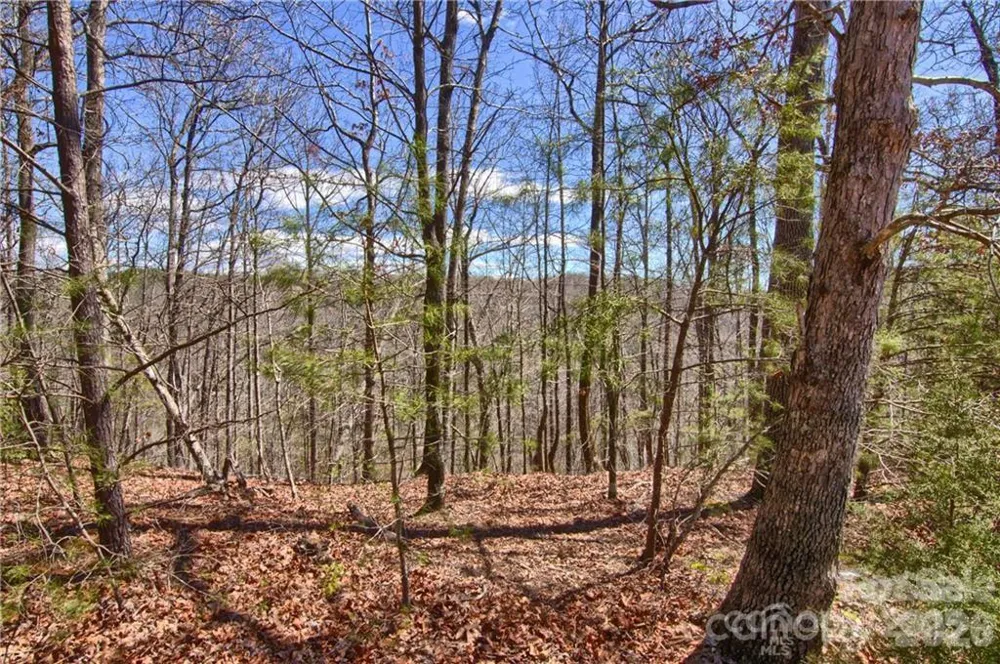 00 Boundary Road #51/52 Mill Spring, NC 28756