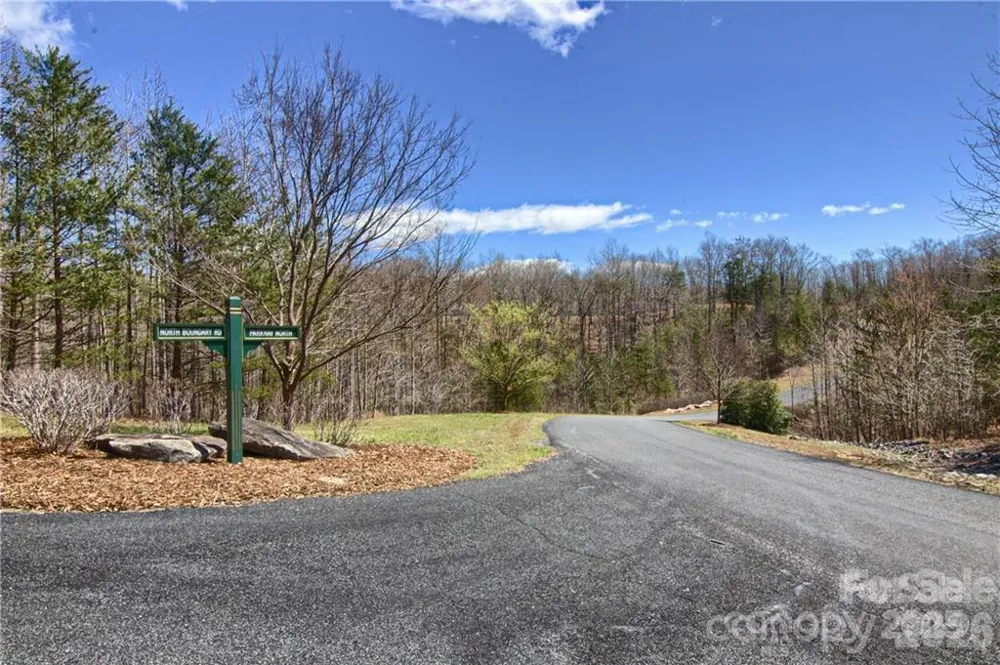 00 Boundary Road #51/52 Mill Spring, NC 28756