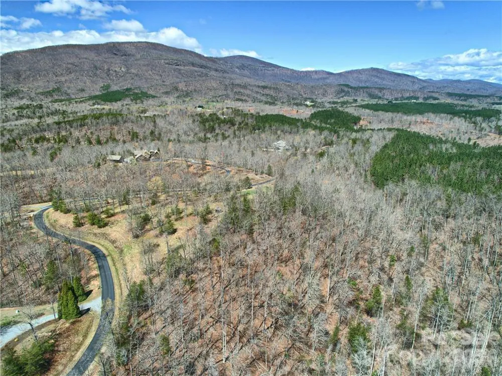 00 Boundary Road #51/52 Mill Spring, NC 28756