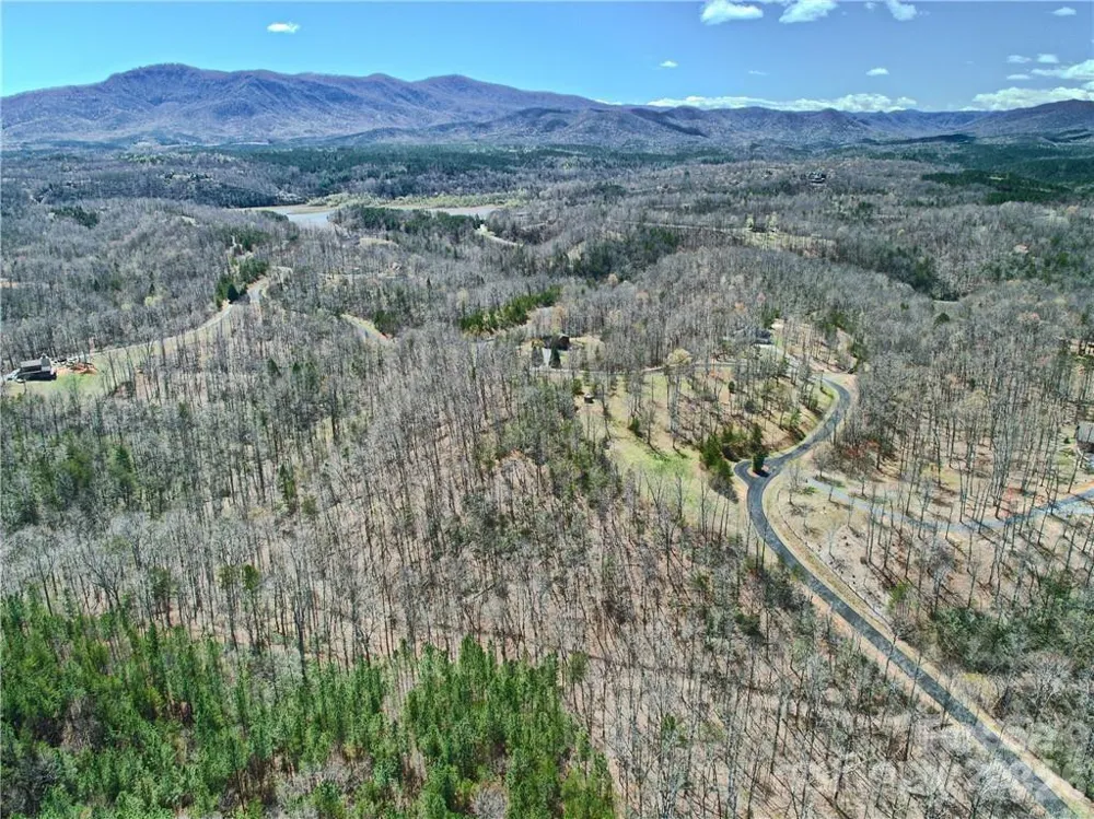 00 Boundary Road #51/52 Mill Spring, NC 28756