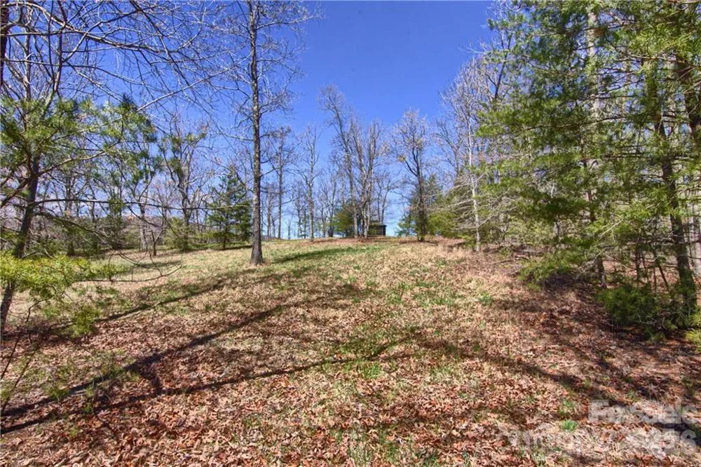 00 Boundary Road #51/52 Mill Spring, NC 28756