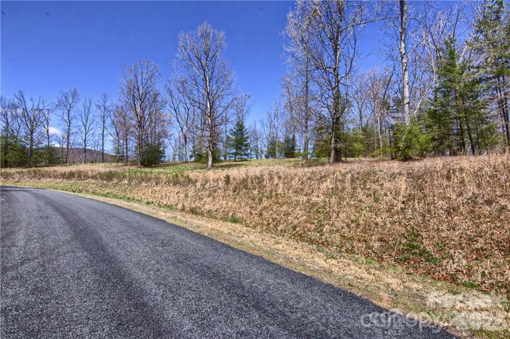 00 Boundary Road #51/52 Mill Spring, NC 28756