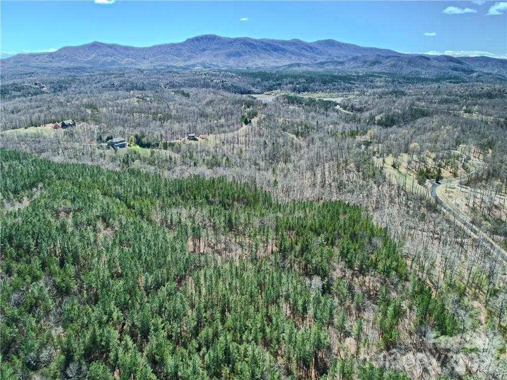 00 Boundary Road #51/52 Mill Spring, NC 28756