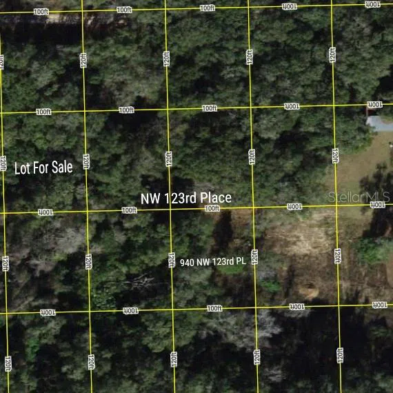 TBD NW 123RD PLACE Citra, FL 32113