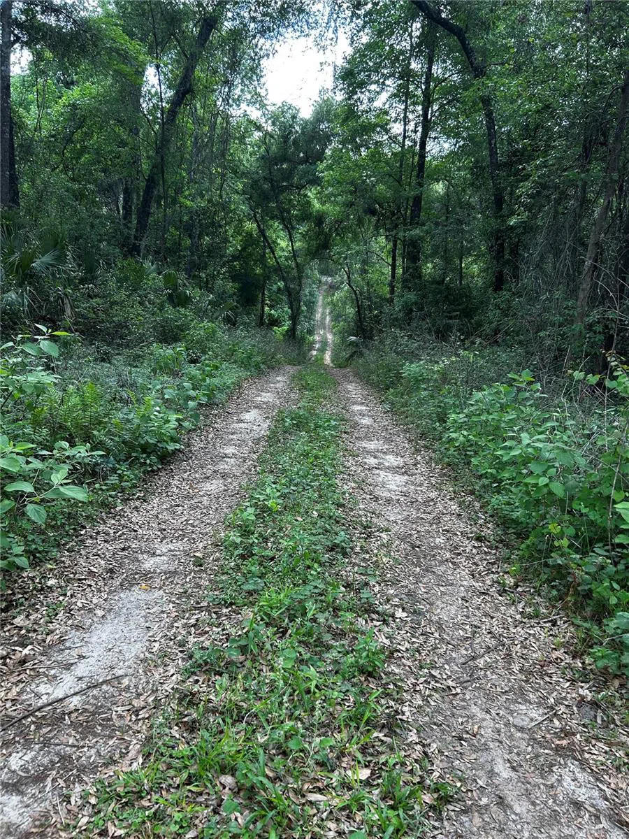 TBD NW 123RD PLACE Citra, FL 32113