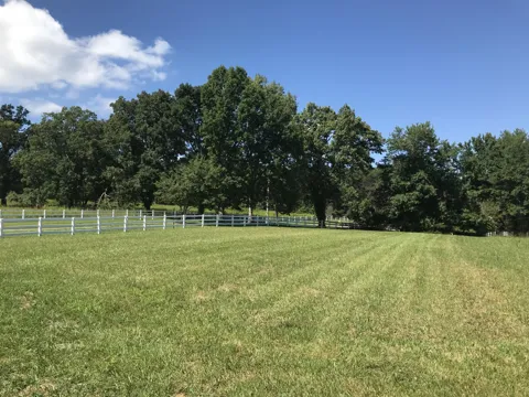 1 Lake George Drive