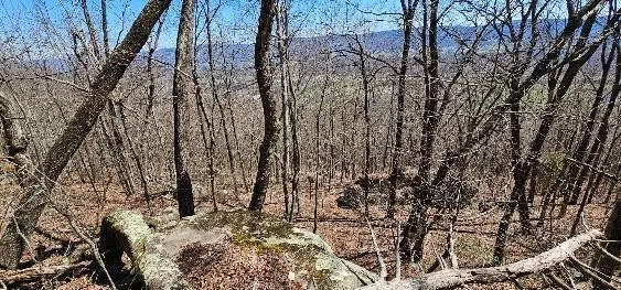 1 Vista View Drive S Dunlap, TN 37327