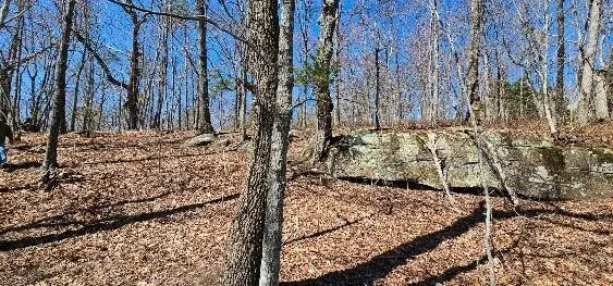 1 Vista View Drive S Dunlap, TN 37327