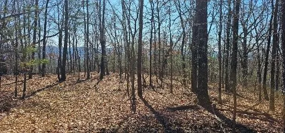 1 Vista View Drive S Dunlap, TN 37327