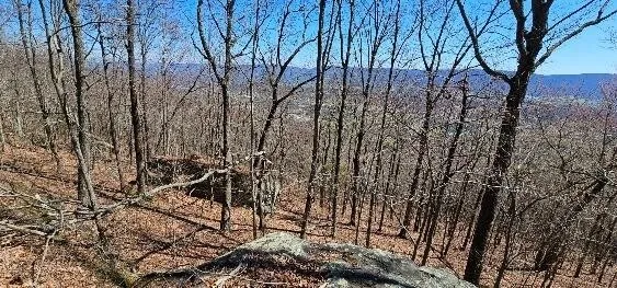 1 Vista View Drive S Dunlap, TN 37327
