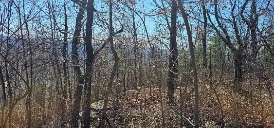 1 Vista View Drive S Dunlap, TN 37327