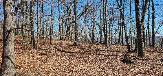 1 Vista View Drive S Dunlap, TN 37327