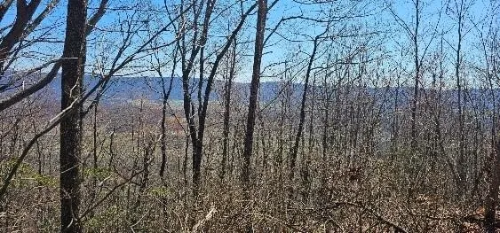 1 Vista View Drive S Dunlap, TN 37327