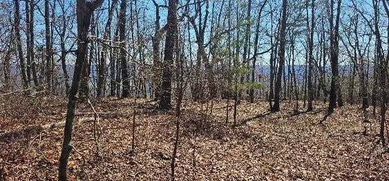 1 Vista View Drive S Dunlap, TN 37327