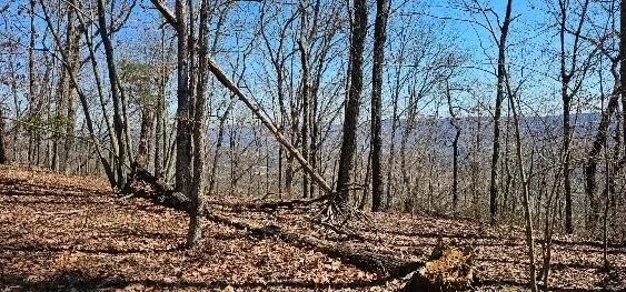 1 Vista View Drive S Dunlap, TN 37327