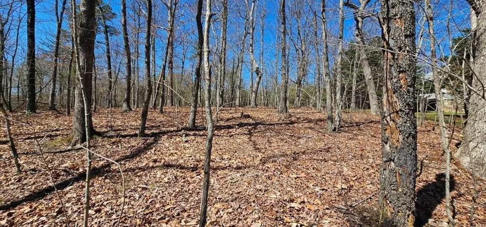 1 Vista View Drive S Dunlap, TN 37327