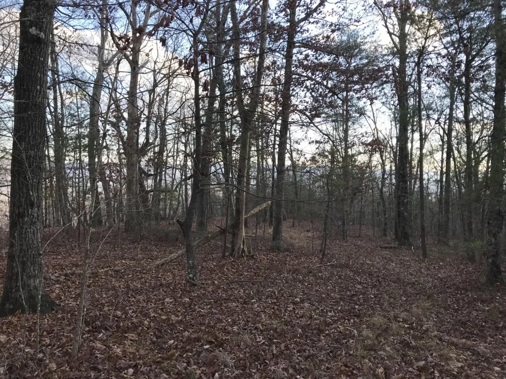 1 Vista View Drive S Dunlap, TN 37327