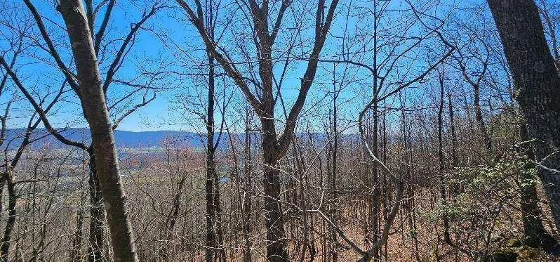 1 Vista View Drive S Dunlap, TN 37327