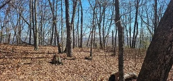 1 Vista View Drive S Dunlap, TN 37327