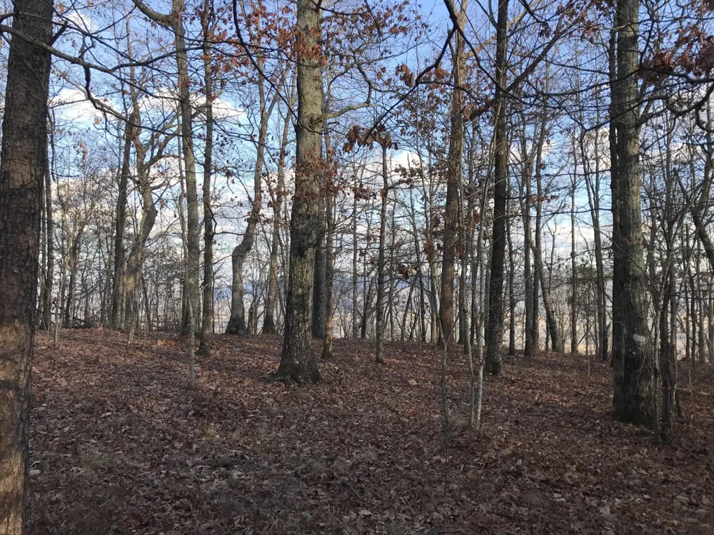1 Vista View Drive S Dunlap, TN 37327