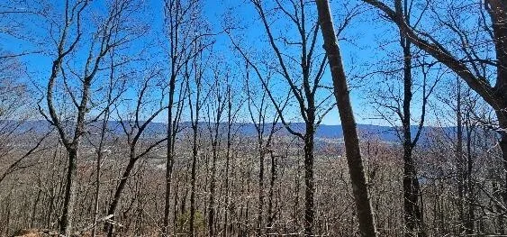 1 Vista View Drive S Dunlap, TN 37327