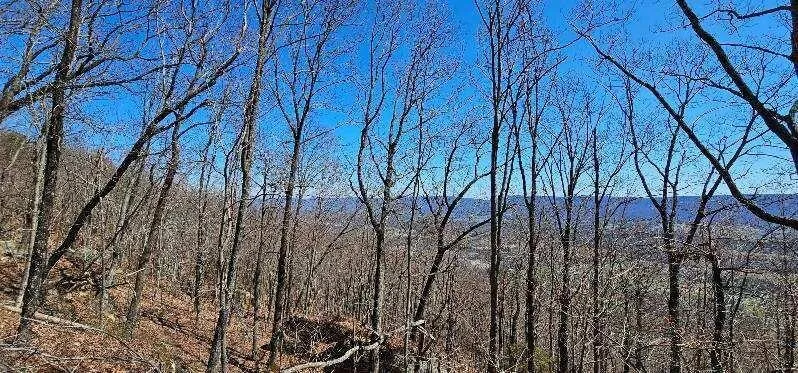 1 Vista View Drive S Dunlap, TN 37327