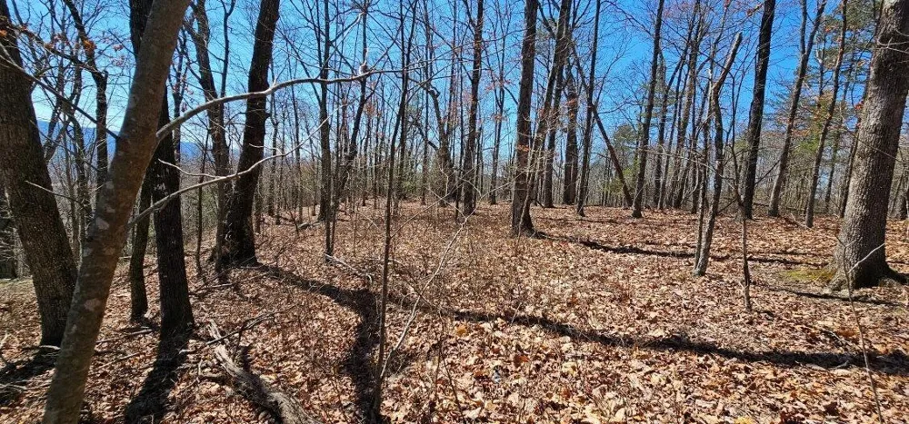1 Vista View Drive S Dunlap, TN 37327